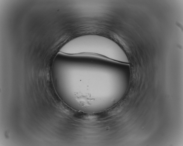 X0000098140313200804241720