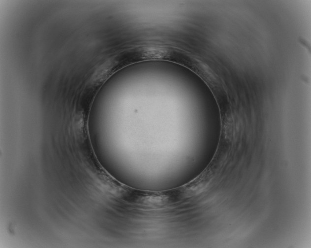 X0000098140314200804241720
