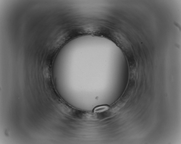 X0000098140317200804241720