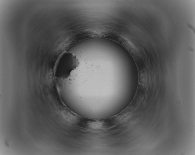 X0000098140318200804241720