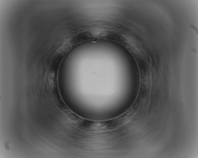 X0000098140319200804241720