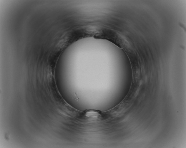 X0000098140320200804241720