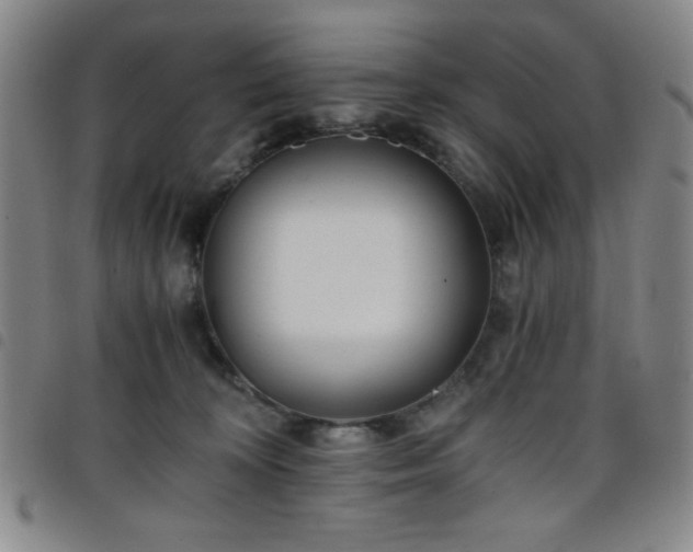 X0000098140324200804241720