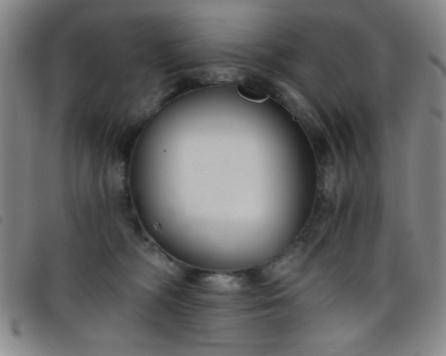 X0000098140326200804241720
