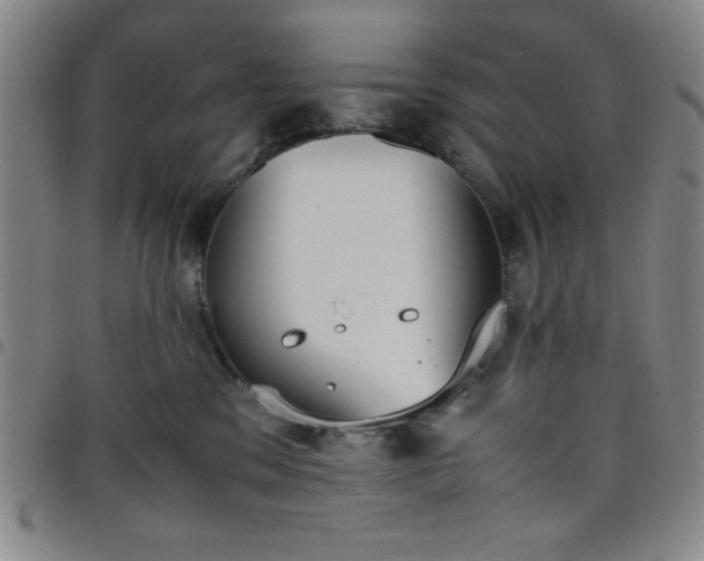 X0000098140329200804241720