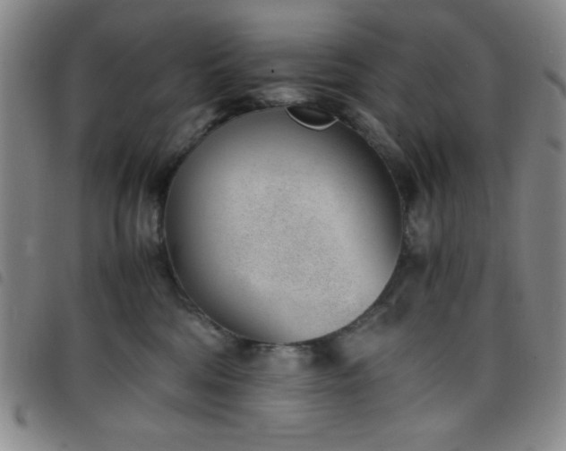 X0000098140330200804241720