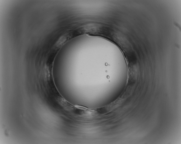 X0000098140333200804241720