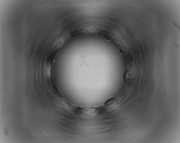 X0000098140334200804241720