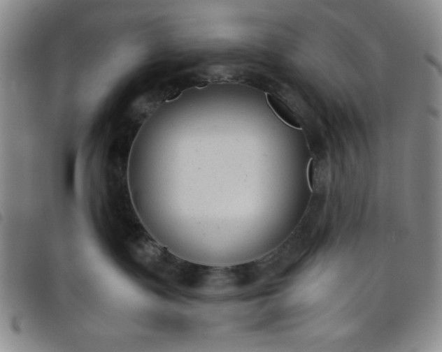 X0000098140335200804241720