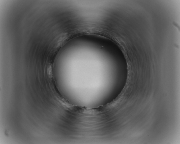 X0000098140336200804241720