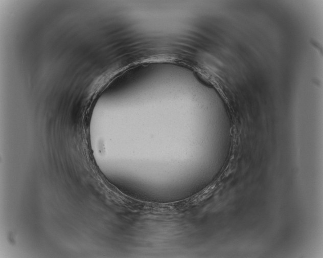 X0000098140337200804241719