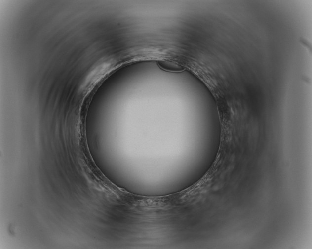 X0000098140338200804241719