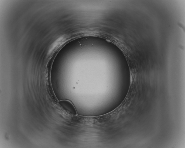 X0000098140339200804241719