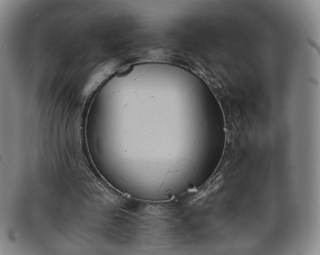 X0000098140341200804241719