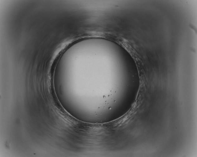 X0000098140342200804241719