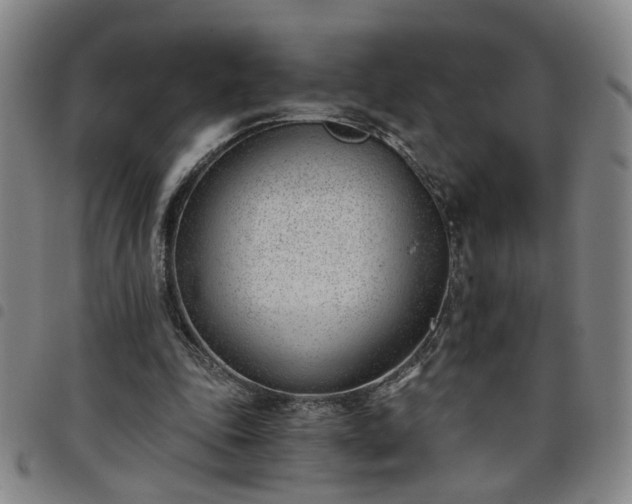 X0000098140343200804241719