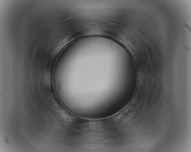 X0000098140345200804241719