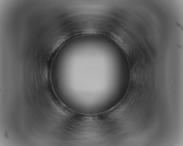 X0000098140347200804241719
