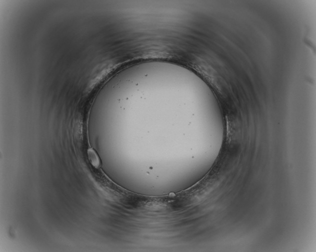 X0000098140348200804241719
