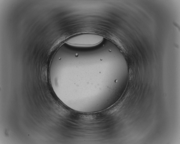 X0000098140349200804241719