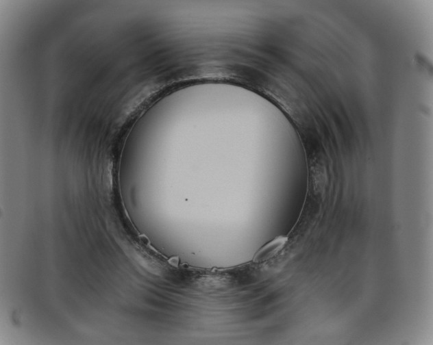 X0000098140350200804241719