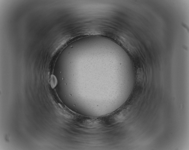 X0000098140351200804241719