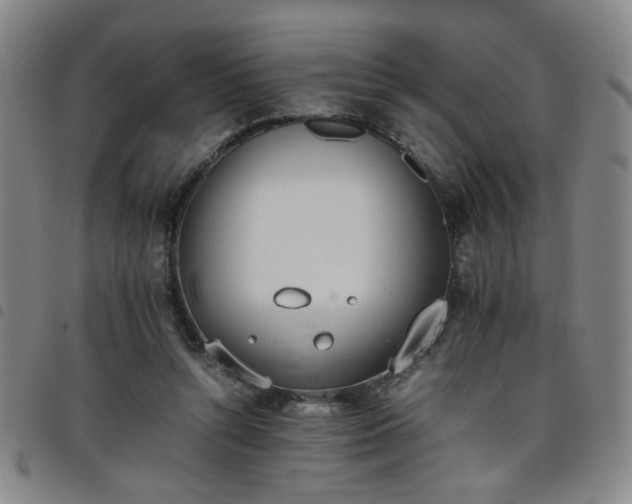 X0000098140352200804241719