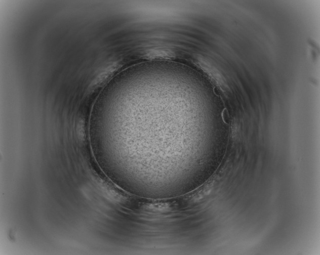X0000098140353200804241719
