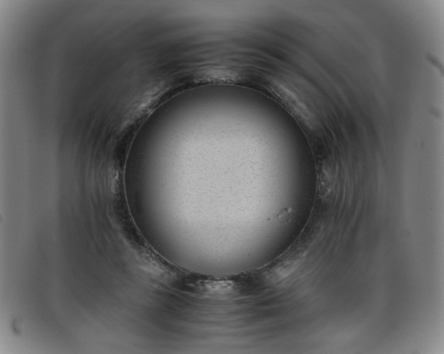 X0000098140355200804241719