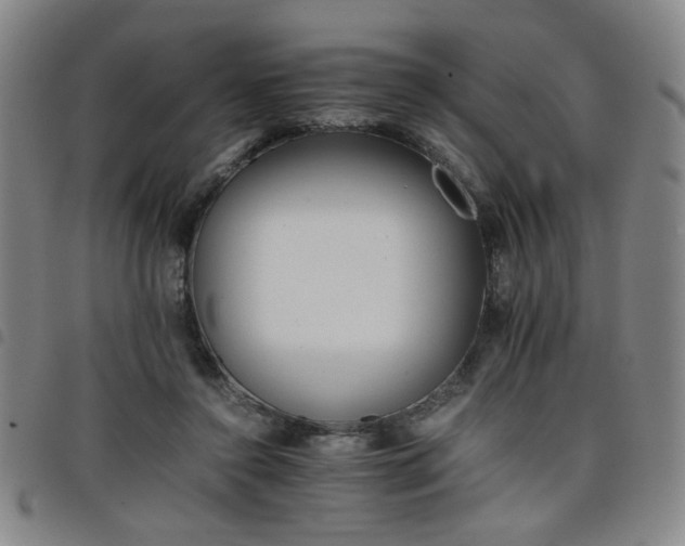 X0000098140356200804241719