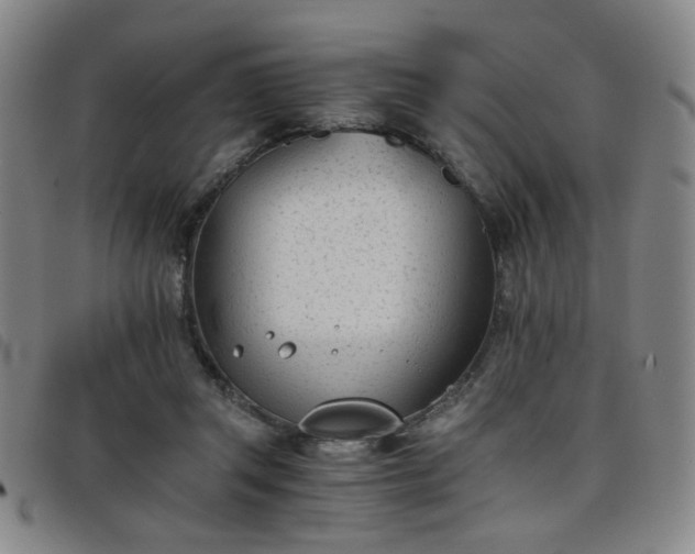 X0000098140357200804241719