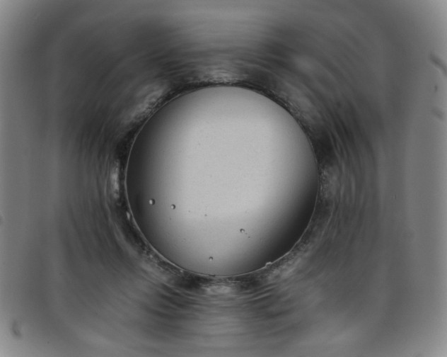 X0000098140358200804241719