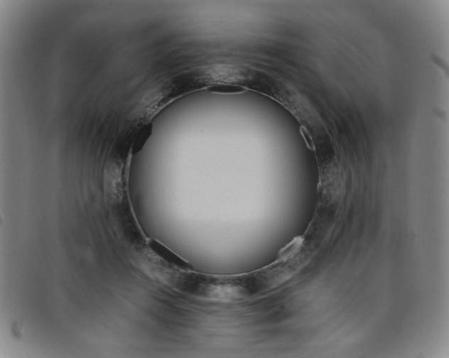 X0000098140360200804241719