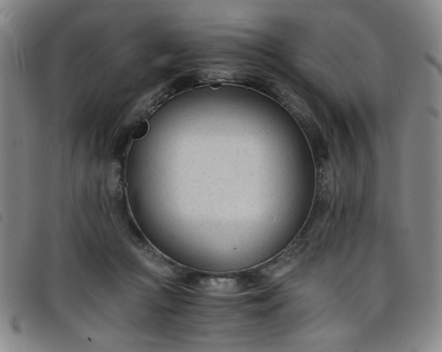 X0000098140361200804241719
