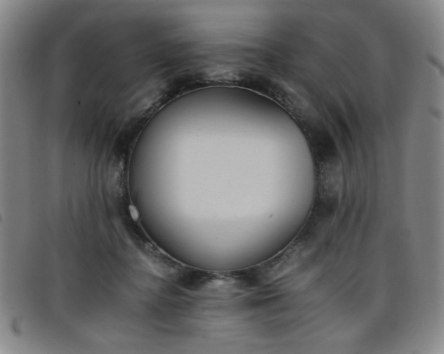 X0000098140364200804241719