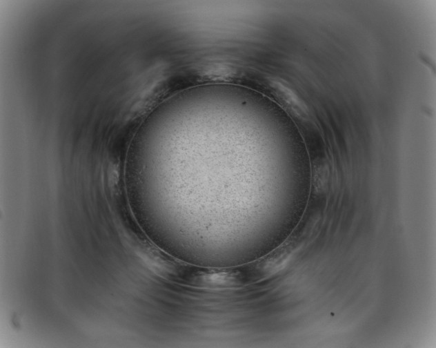 X0000098140365200804241720