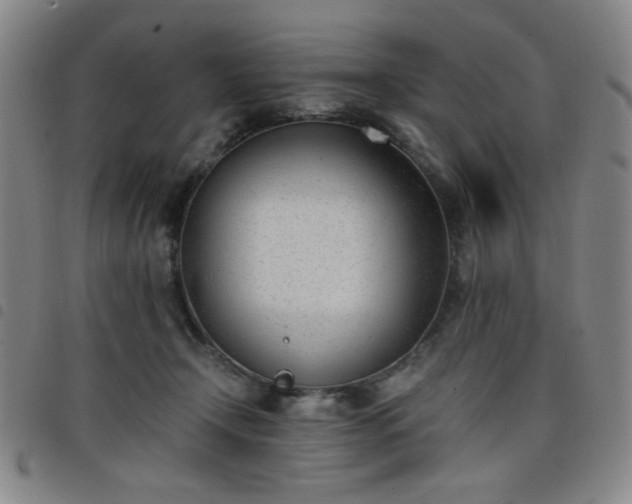 X0000098140366200804241720