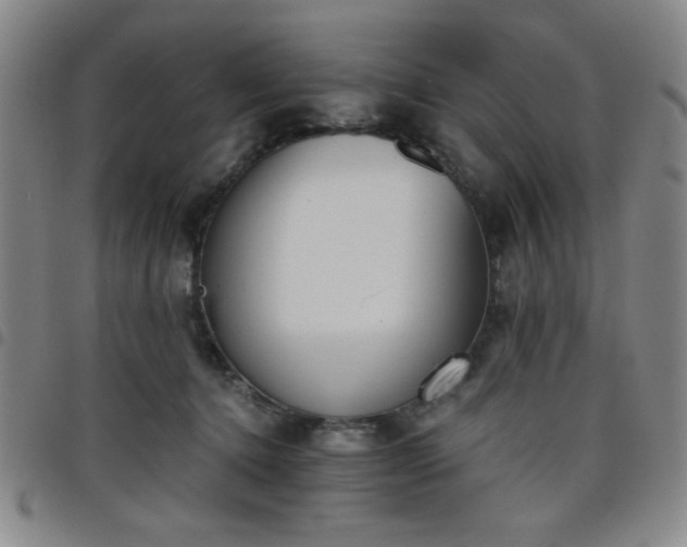 X0000098140368200804241720