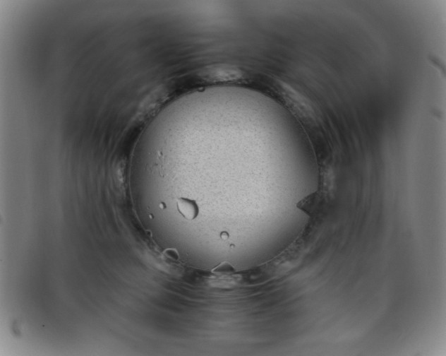 X0000098140373200804241720