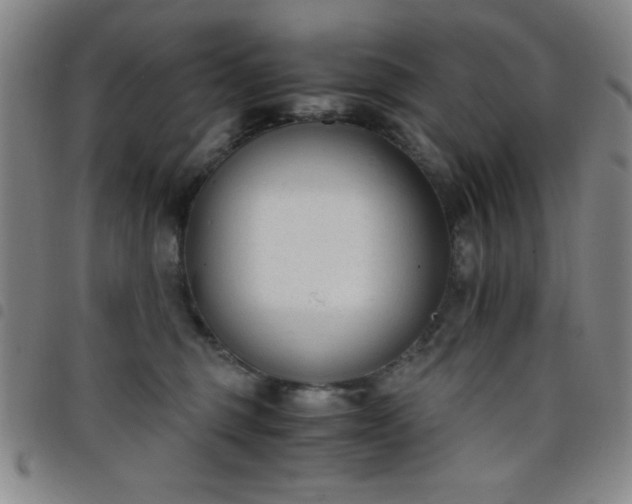 X0000098140375200804241720