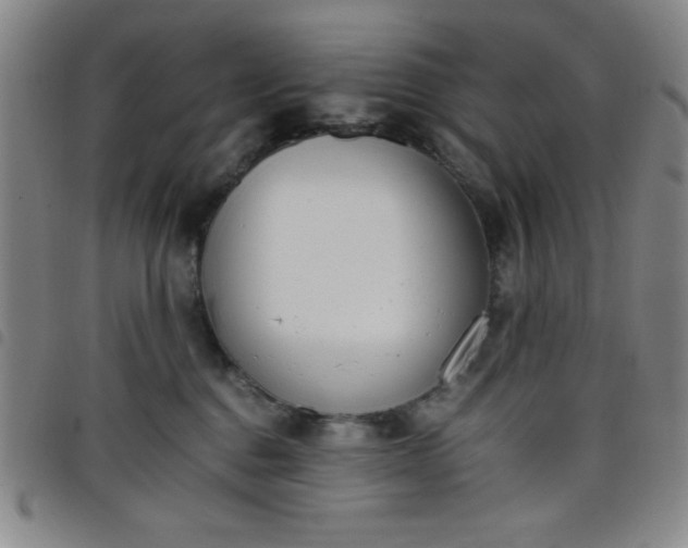 X0000098140376200804241720