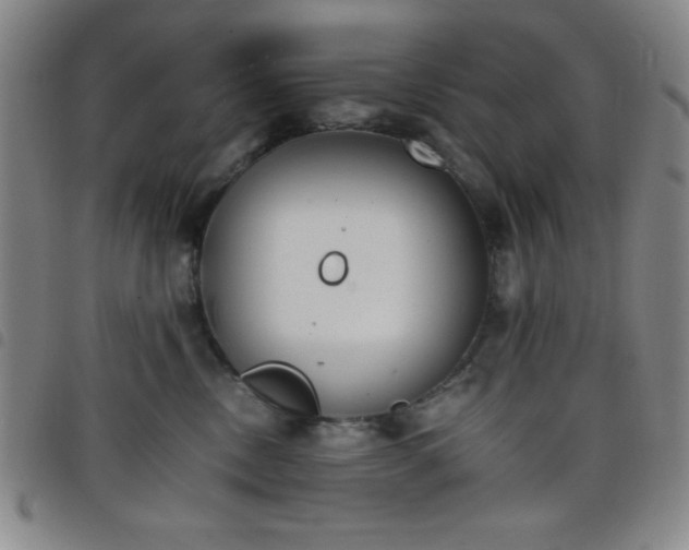 X0000098140378200804241720