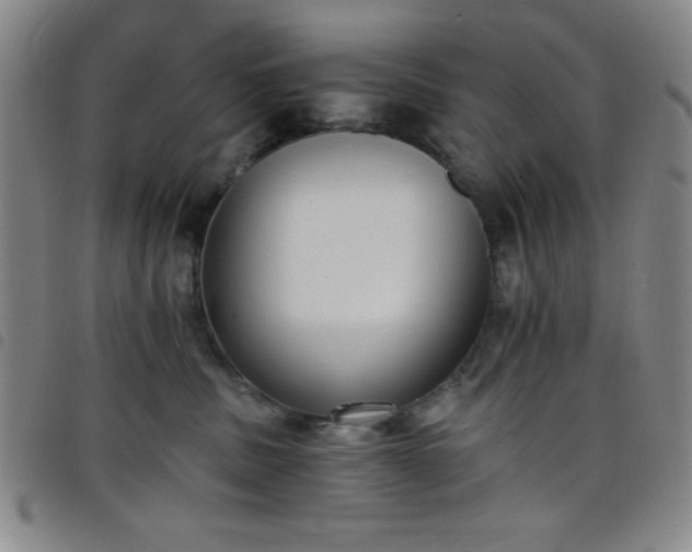 X0000098140379200804241720
