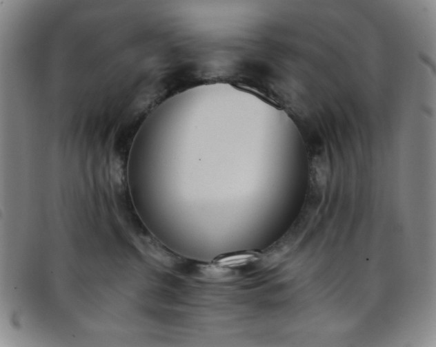X0000098140380200804241720