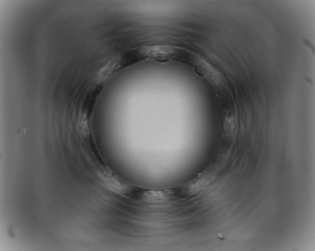X0000098140381200804241720