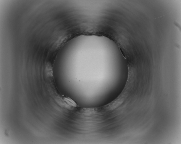 X0000098140384200804241720