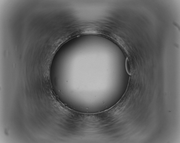 X0000098140385200804241719