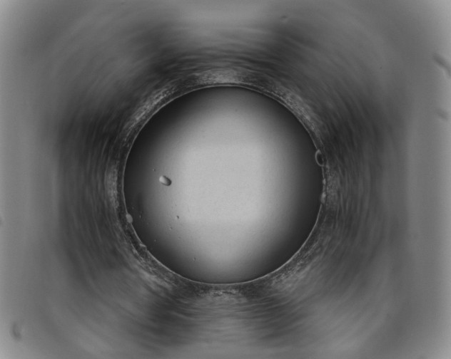 X0000098140386200804241719