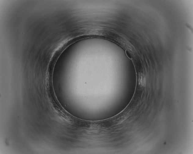X0000098140388200804241719