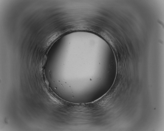 X0000098140389200804241719